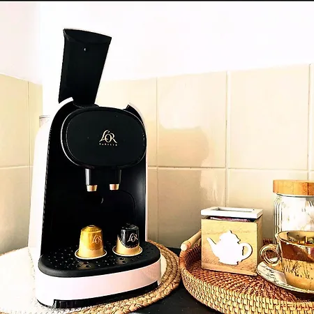 Backpackers Luxury 5* In